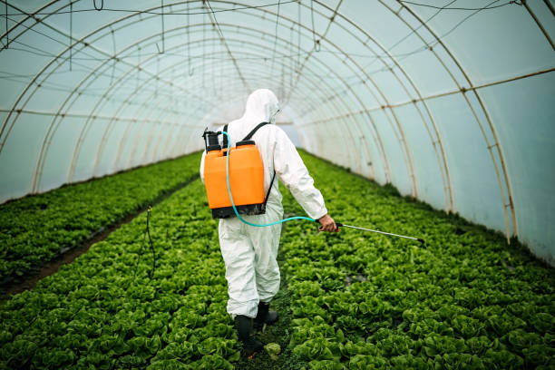 Best Residential Pest Control  in Rossmoyne, OH