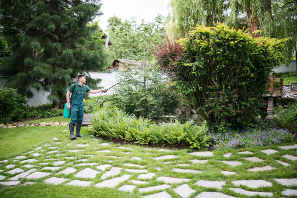 Best Ant Control Services  in Rossmoyne, OH