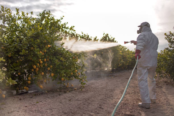 Best Pest Inspection Near Me  in Rossmoyne, OH