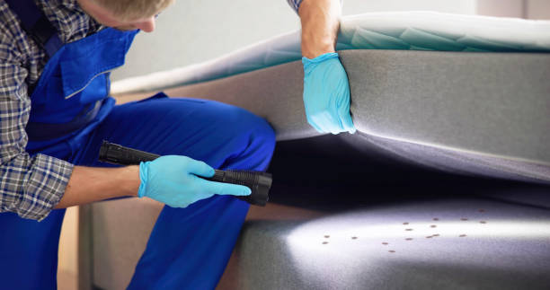 Best Affordable Pest Control Services  in Rossmoyne, OH