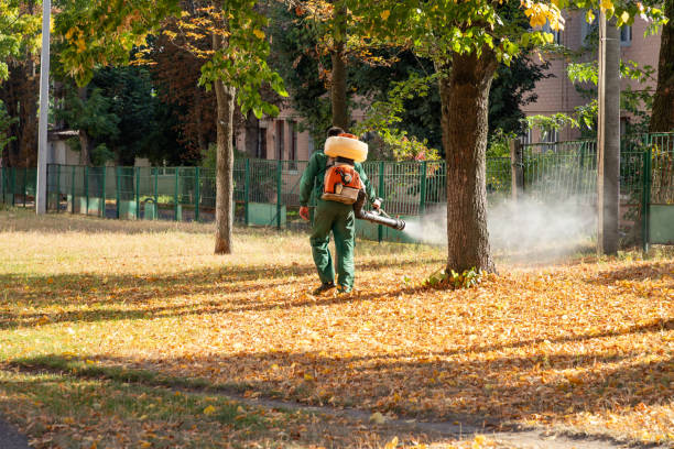 Best Wasp Removal Services  in Rossmoyne, OH
