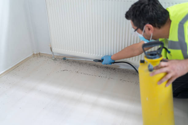 Best Commercial Pest Control Services  in Rossmoyne, OH